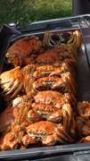 DSC08912.JPG